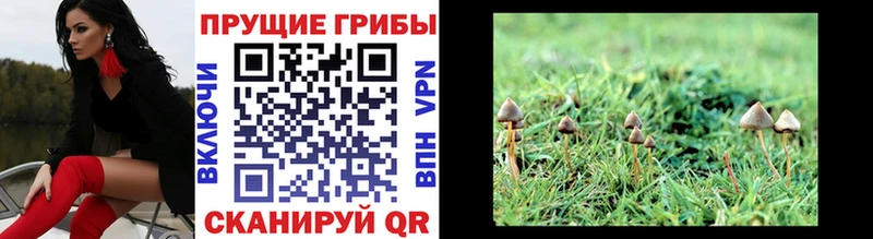 Галлюциногенные грибы мухоморы  Плёс 